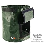 2Pack Potato Grow Bags 10 Gallon Plant Growing Bags for Vegetables Durable & Root Friendly Garden Bags with Strap Handles and Access Flap Window for Potatoes, Carrots, Tomatoes, Strawberry (2pcs) - Image 7
