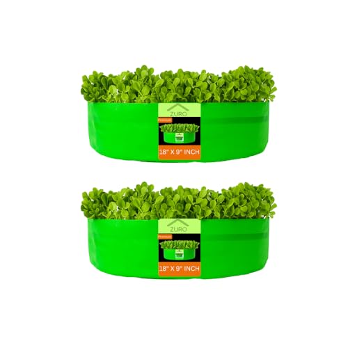 Image of Kingwell grow bags 18x9 inches pack of 2 Grow Bag For Terrace Garden Leafy Vegetable Plant Grow Bags Fruits Growing Containers For terrace Gardening