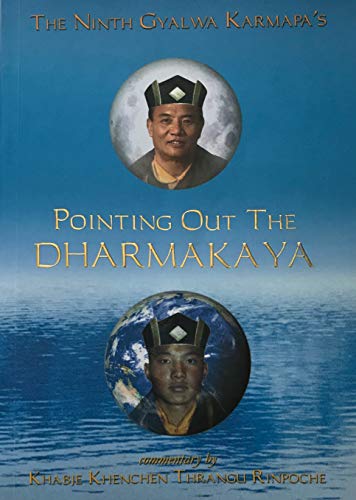 Pointing Out the Dharmakaya 1877294217 Book Cover