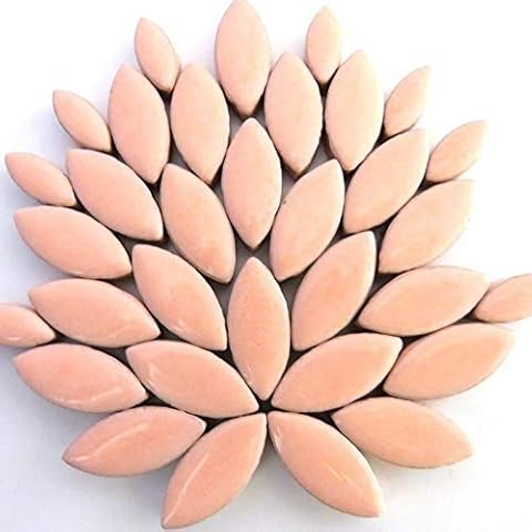 Craft Mosaic Tiles Petal Pack in Fresh Peach Cover