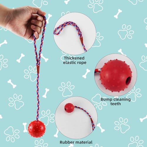 UptVin Lot de 6 balles en caoutchouc naturel - Avec cordon Pour chiens de toutes tailles - Avec 1 balle de nourriture – Image 4