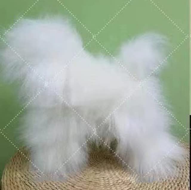 Amazon.co.jp: トリミング 犬 トイプードル マネキン トリミング
