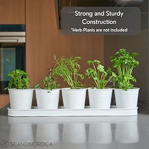 SCANDINORDICA White Herb Planter–5 Pots with Drainage Holes and Tray Windowsill Planter Indoor Planter Outdoor Herb Pots for Indoor Plants