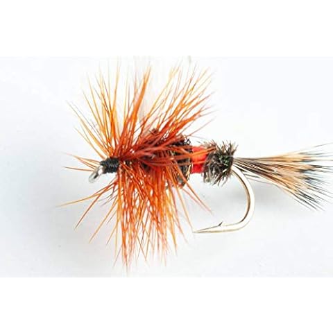 Blue Wing Olive Royal WULFF Dry Fly, 6-Pack (#12) Cover