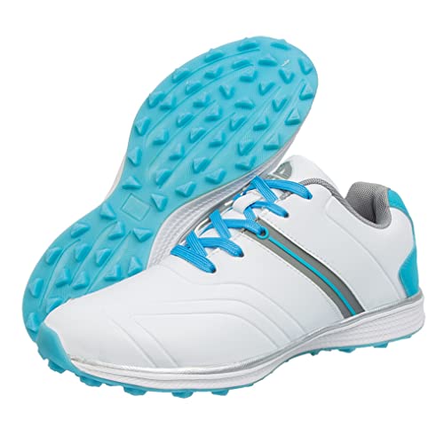 [BBYA] StV[Y fB[X StV[Y fB[X XpCNX h fB[XRbNV[Y hStXpCN fB[X StV[Y y (XpCNX) St K CV[YjOV[YpXj[J[ (22.