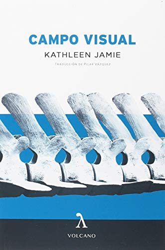 CAMPO VISUAL: 7 (Volcano)