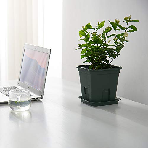 7 Pack Plastic Planter Square Nursery Pots 6 Inch Plastic Flower Pots With Drainage Hole And Tray Dark Green Flower Planters For Succulents Herbs Cactus #TOP5