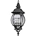 Progress Lighting P5501-31 Four Light Cast Hanging Lantern with Clear Beveled Glass, Textured Black