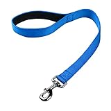 Cyclpet Nylon Short Dog Leash with Padded Handle 24 Inches Large Dog Lead. (24 Inches, Classic Blue)