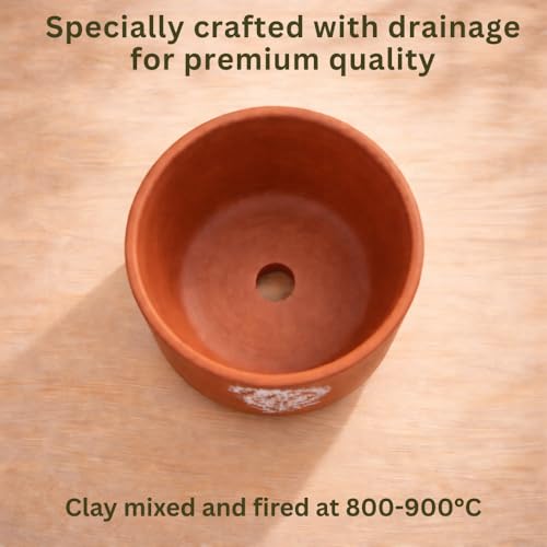 Image of Urban Upvan Terracotta Flower Pots for Garden, Dining Table & Home Decor | Elegant Planter for Living Room & Indoor Plants| Paisley