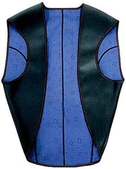 Amazon.co.jp: バイオラバー エアロドームプチベスト L : ドラッグストア