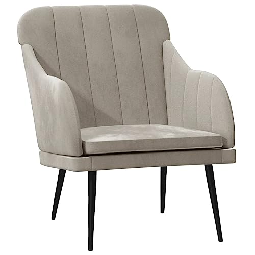 Genérico Wenjingqi Sillón de Terciopelo Gris Claro 63x76x80 cm, Gris 351454