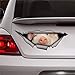 Autocollant en vinyle pour voiture, décoration de voiture, cochon en relief
