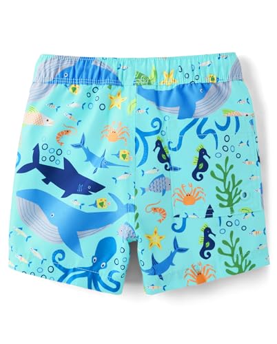 Image of Gymboree Boys and Toddler Swim Trunks