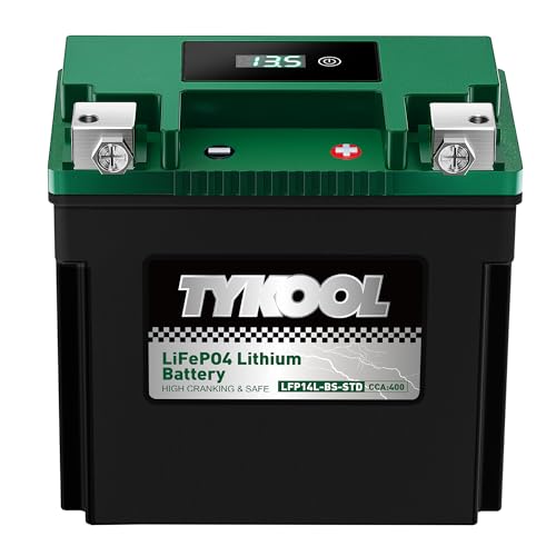 Image of TYKOOL LFP14L-BS-STD [- +] Lithium Battery 400 CCA 8Ah for HD Sportster 883 1200 Iron 48 XL XLH 2004-2023 Street 500 750| Digital SOC Display IP67 Waterproof