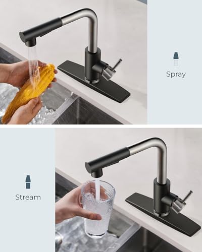Image of FORIOUS Kitchen Faucets with Pull Out Sprayer, Single Handle, Black Brushed