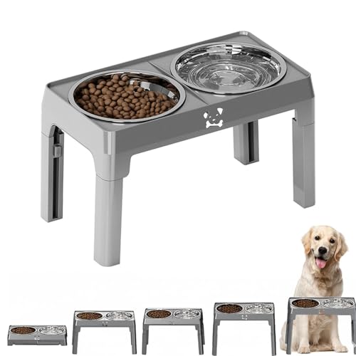 Lifetips uh[Ego[ Lp H t[h{EX^h {E  ܂肽 pT|[g Hׂ₷ Hh~ 􂢂₷ ~  i5iK O[j