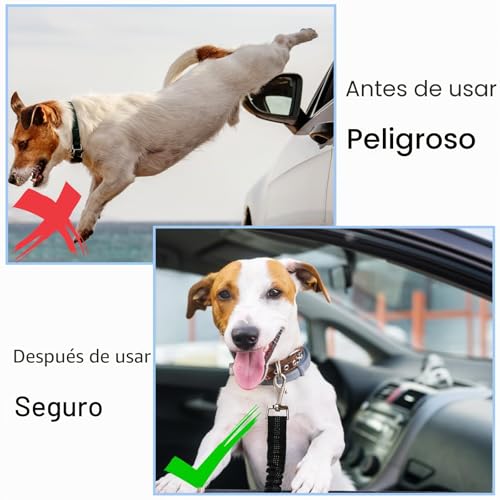 Miniatura 2 de Nutabevr 2 Piezas Cinturón De Seguridad De Coche Universal Para Todos Los Perros Con Longitud Ajustable - Arnés Para Mascotas Con Acero Inoxidable - Mosquetón Para Gatos