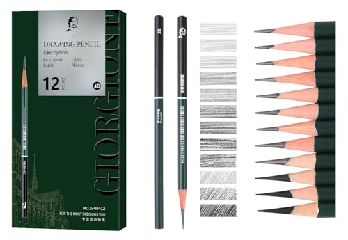 Amazon | Roseelf 12本デッサン 鉛筆セット、えんぴつ画材セット