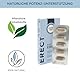 MISTER SIZE Easy Erect – pflanzliches Potenzmittel für Männer – natürliche Erektionshilfe & Libido-Booster – vegan, ohne Sildenafil, bei Erektionsproblemen (5 Kapseln)