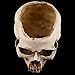 TOPINCN Modern Resin Skull Shaped Head Design Flower Pot Planter Container Decoration Large Flowerpot Set Props for Home Office Desk Decoration