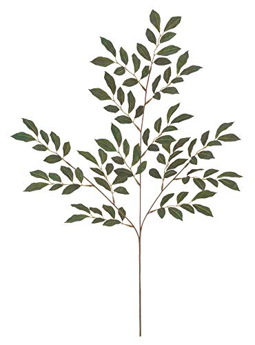 [AiqTJLjXvC LES5171 [A qTJL P TJL  [t tFCNO[ XvC } lHϗtA