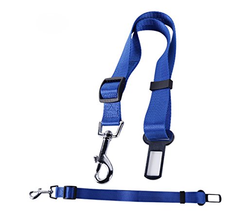 Diawell Laisse de sécurité pour Chien et Chat Cover