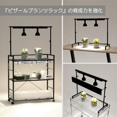 BIBILAB(ビビラボ) ビザールプランツライトスタンド LPS-800-BK の商品画像 3