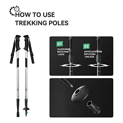 Alps 14/17/21/25/30 Inch Lightweight Snowshoes For Women Men Youth Kids, Light Weight Aluminum Alloy Terrain Snow Shoes With Pair Antishock Trekking Poles, Free Carrying Tote Bag (Ripple Gray, 21'') #TOP6