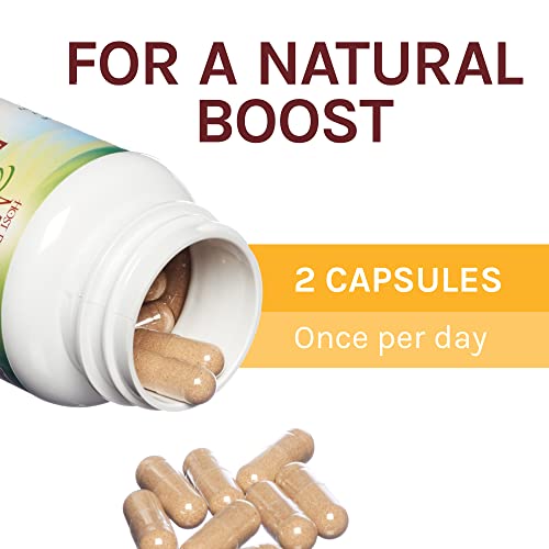 Host Defense, Mycobotanicals Energy Capsules, Promotes Immediate And Sustained Energy, Mushroom Supplement, 60 Capsules, Unflavored #TOP5