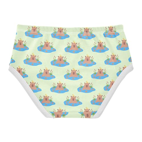 Girls' Underwear Cute Capybara Cotton Stretch Comfort Toddler Panties2