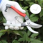 10 Pcs Branch Shears Gardening Shears Spring Garden Spring Replacement Springs for Pruning Shears Handheld Springs Trimming Tool Spring Gardening Tools Parts, Fruit Branch Shears Spring