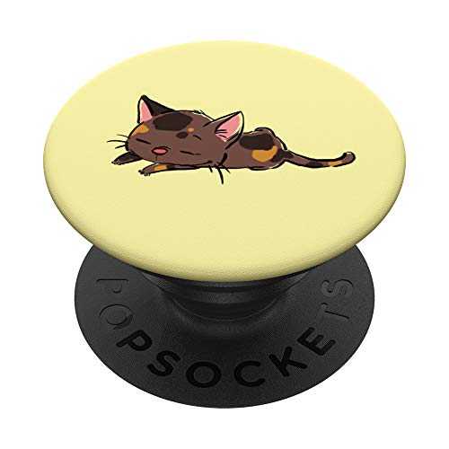 Cute Tortoiseshell Kitten, Tortie Cat, Tortie Lovers