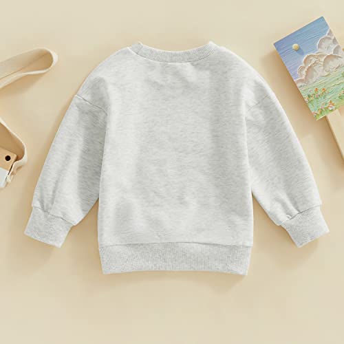 Image of Baby Boy Girl Pumpkin Sweatshirt Tops Toddler Halloween Outfit Long Sleeve Crewneck Pullover Sweater Shirt Fall Clothes