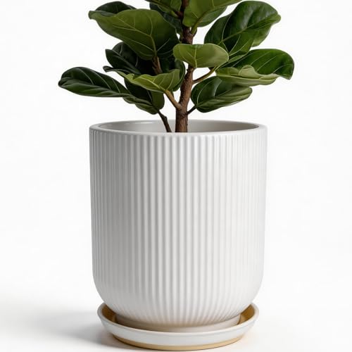 Deep Dream 10 Inch Ceramic Pots