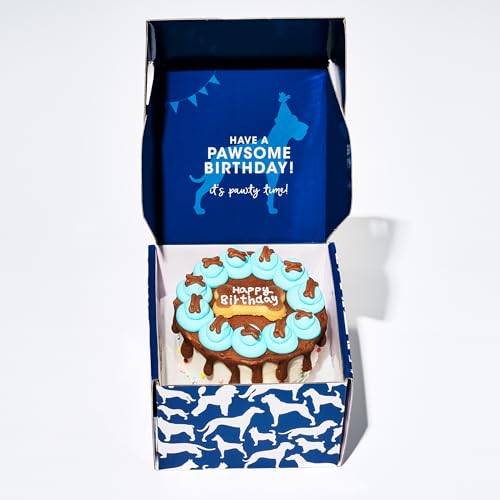 Image of Thoughtfully Pets, Blue Dog Happy Birthday Mini Cookie Cake, Blue, Peanut Butter Flavored, Hand Decorated Hollow Biscuit Cake for All Dog Breeds