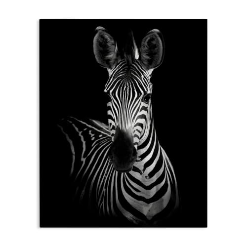 Greyscale Zebra Photography, 24 x 30 Inch Canvas Wall Art
