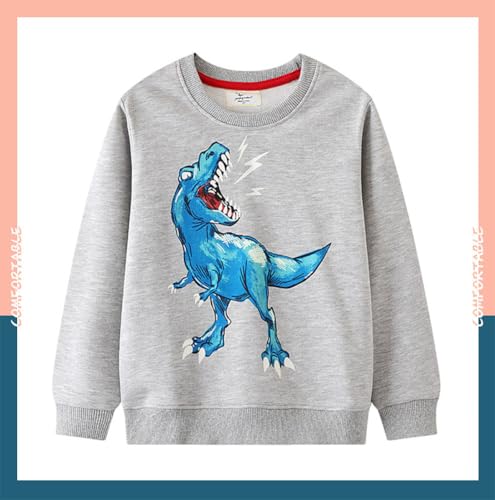Boys Sweatshirts Casual Sweatshirts Cotton Sweatshirts Long Sleeve T-shirts Crew Neck Cartoon Tops for Boys-6523