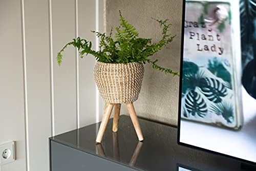 Decorasian Seagrass Flower Pot with Integrated Stand, Braided Planter, Pot - 20 cm Diameter