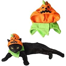 Orgrimmar Halloween Pumpkin Cat Hat Cosplay Costume Cap Kitty Collar Costume