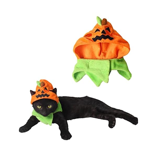Orgrimmar halloween pumpkin cat hat cat cosplay costume cap kitty cat collar costume
