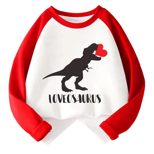 Boys Girls Valentines Shirt Toddler Love Heart Monster Truck Dinosaur Graphic Long Sleeve Raglan Little Kids Top 2-7T