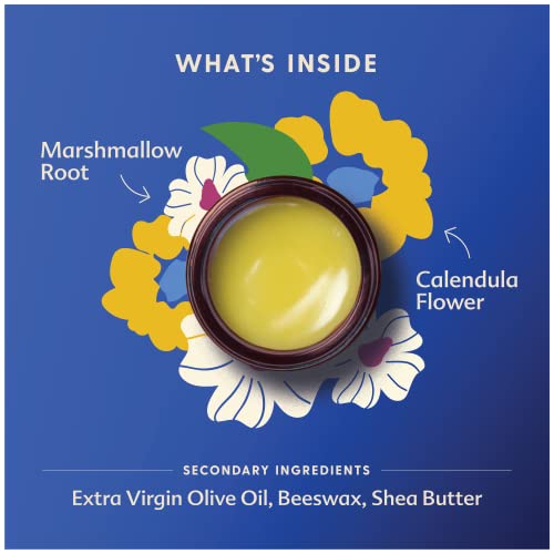 Motherlove Nipple Cream (2 Oz) Organic Lanolin-Free Nipple Balm For Breastfeeding—Benefits Nursing & Pumping Moms #TOP2