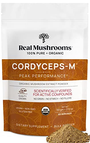 Real Mushrooms Cordyceps Mushroom Extract Powder - 60G