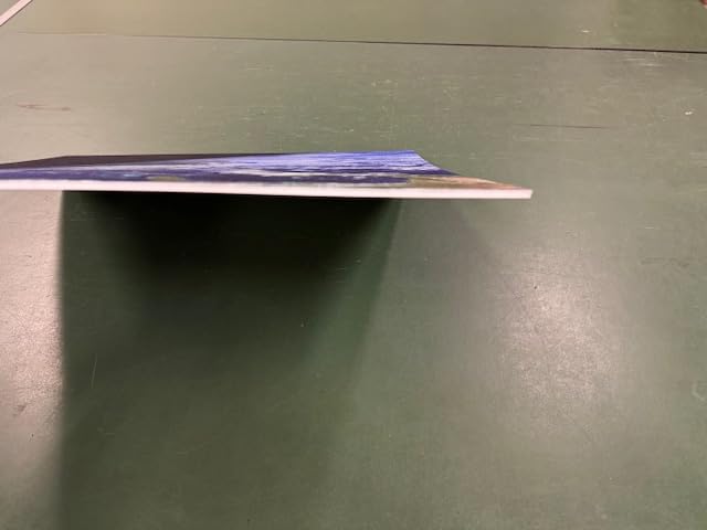 Motivdecken – Designdecken für Kassettendecken – Bedruckte Abhängedecken - Deckenbild für Rasterdecken z.B. OWA Mineralfaser Platten, Knauf AMF, Armstrong Decken Deckenpaneel – 62x62cm Platten