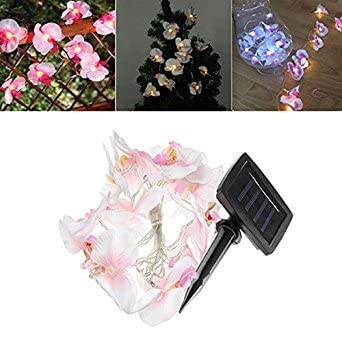 GlobalNiche Solar Powered 4.19M 12 LEDs Orchid Flower String Light Garden Landscape Lamp Home Decor One Piece