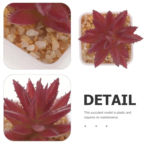 Plantas suculentas artificiales pequeñas para estancias sin luz natural pack de 10 unidades 4