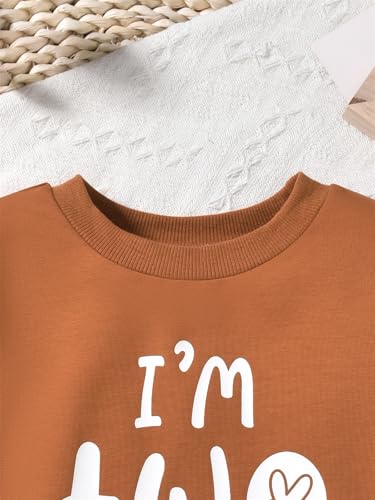 Toddler Boy Birthday Outfit Two/Three/Four/Five/Six Sweatshirt Shirts Birthday Gift4