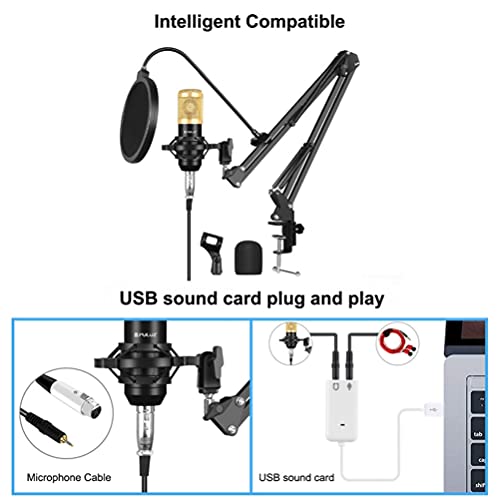 EXCEART Microfone Condensador Cardióide Microfone de Estúdio Profissional Kit Com Braço de Montagem