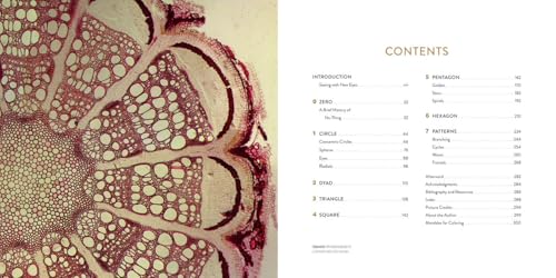 The Mandala Book: Patterns of the Universe - Image 2